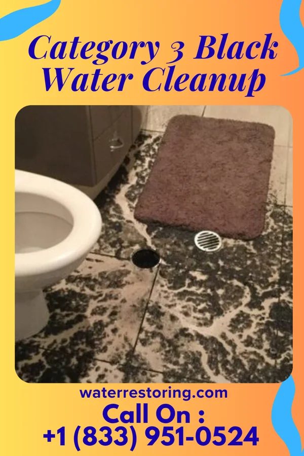 Category 3 Black Water Cleanup in Grier City, PA