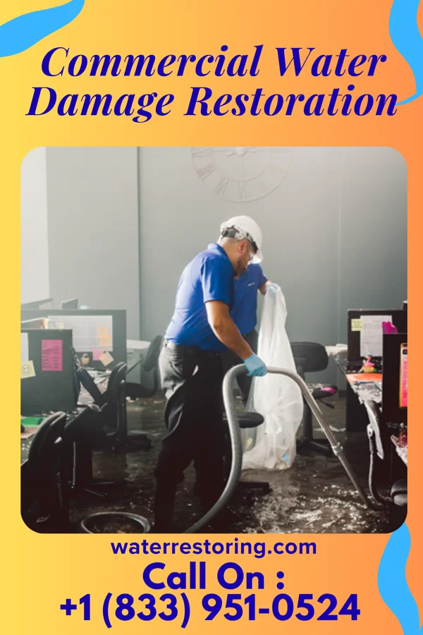 Commercial Water Damage Restoration in Grier City, PA