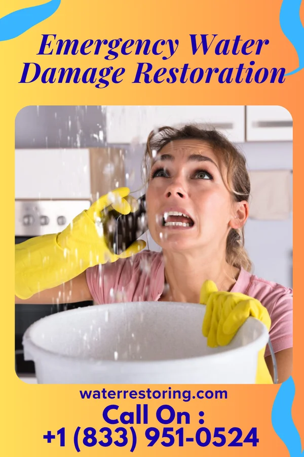 Emergency Water Damage Restoration in Grier City, PA
