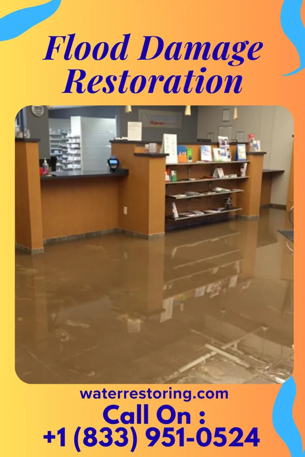 Flood Damage Restoration in Grier City, PA