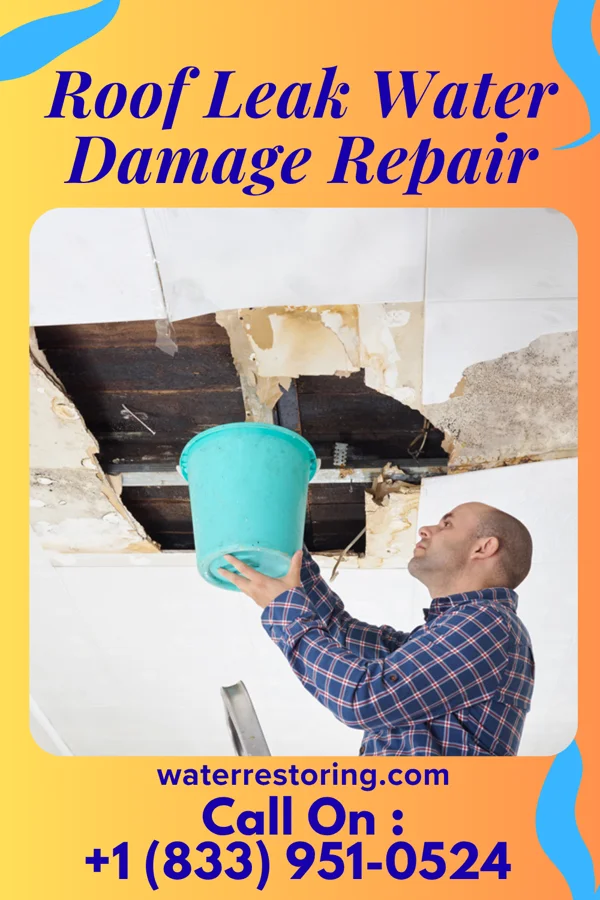 Roof Leak Water Damage Repair in Grier City, PA