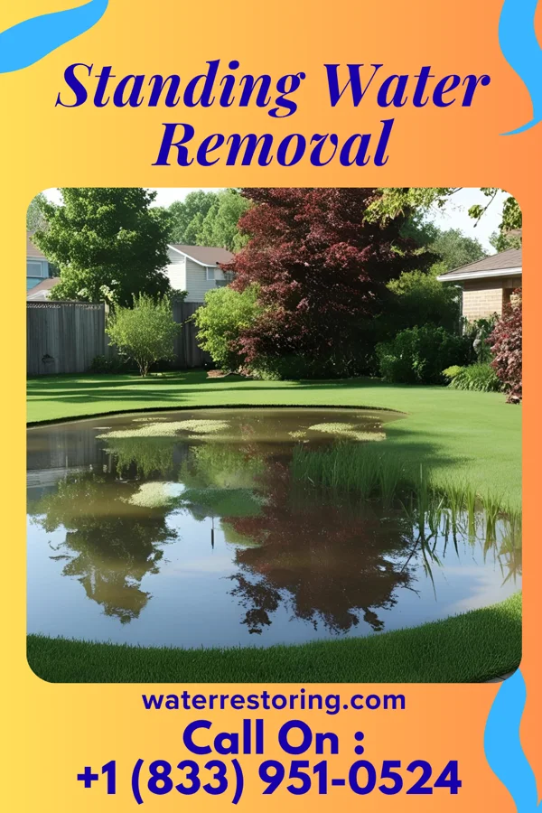 Standing Water Removal in Grier City, PA